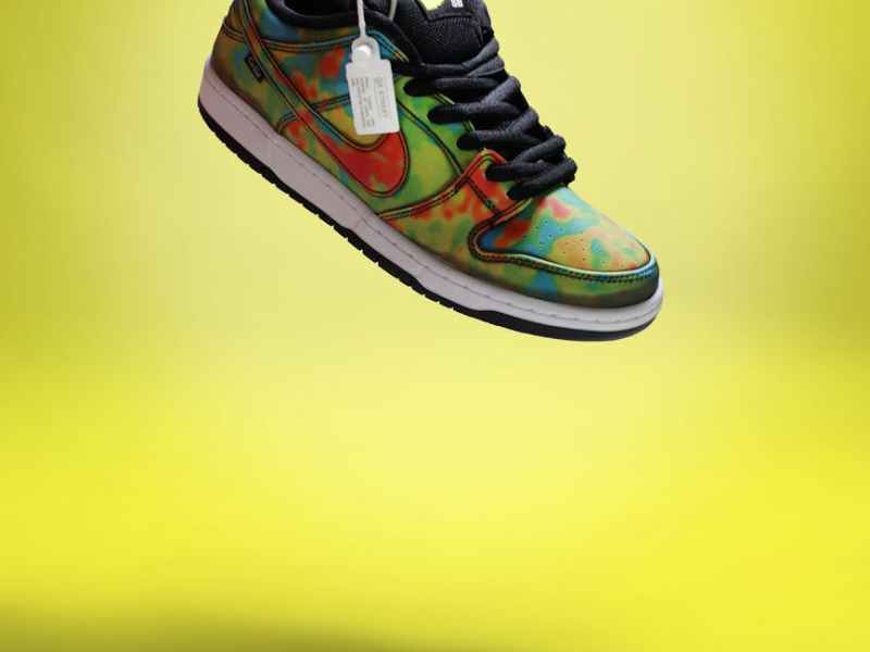 nike sb dunk low civilist